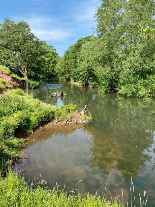 Skenfrith - SC from Hereford